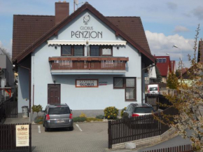Отель Penzion Globus  Чешский Крумлов